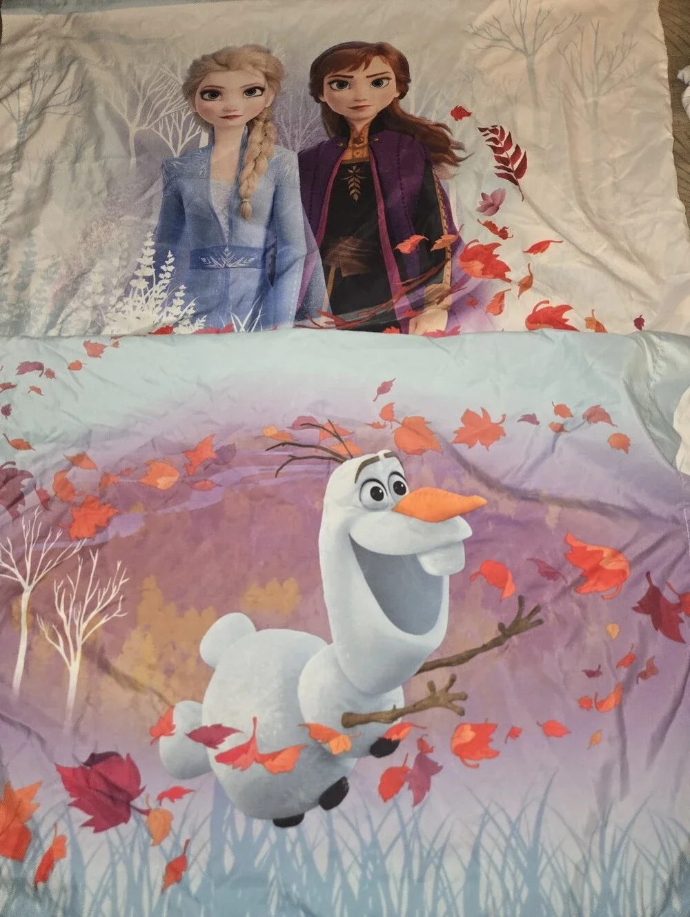 Frozen Full Size Sheet